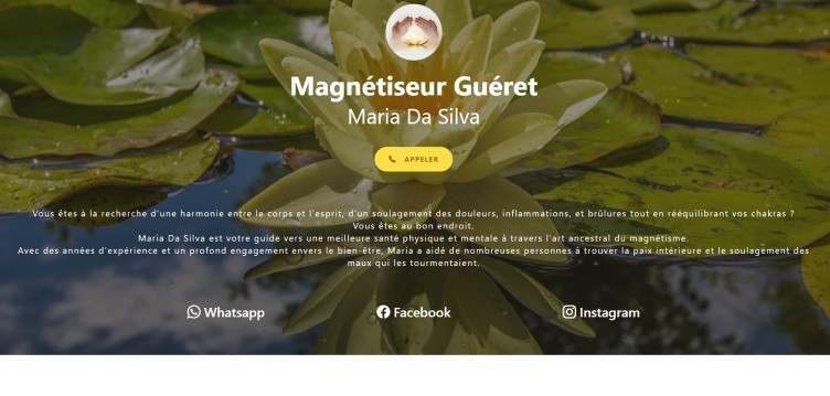 Joachim Da Silva - Projet Magnétiseur